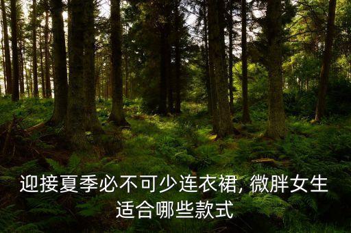 ol夏装裙子微胖穿搭