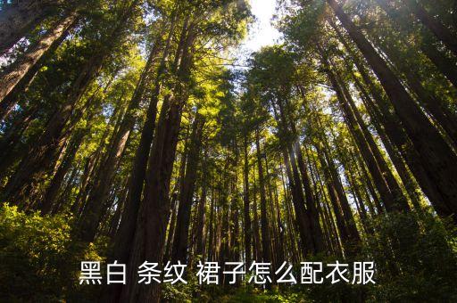 条纹的裙子配什么上衣,经典不败的黑白配套