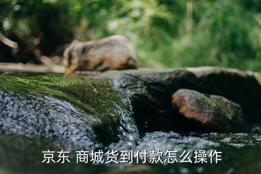  京东 商城货到付款怎么操作