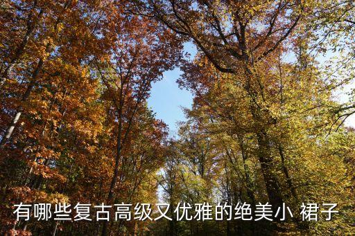 有哪些复古高级又优雅的绝美小 裙子