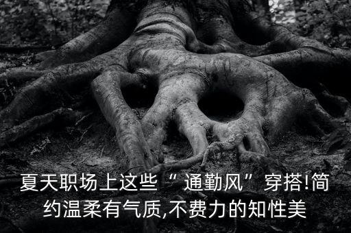 夏天职场上这些“ 通勤风”穿搭!简约温柔有气质,不费力的知性美