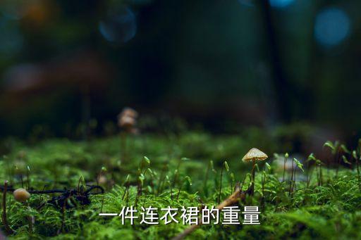 一件连衣裙的重量