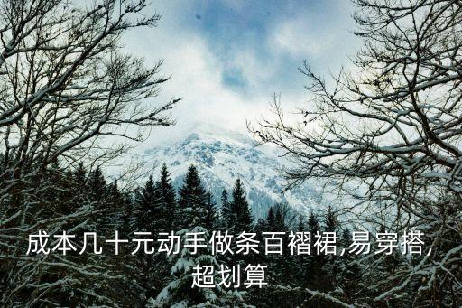 成本几十元动手做条百褶裙,易穿搭,超划算
