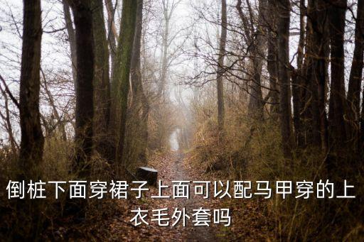 半身裙大全,迪奥半身裙图片大全