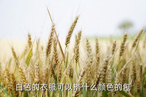 白裙子搭配小包包,穿白裙子配什么包包