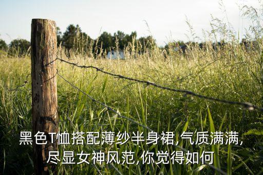 黑色T恤搭配薄纱半身裙,气质满满,尽显女神风范,你觉得如何