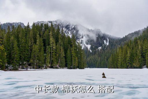 高领棉袄怎么搭配什么裙子,棉袄搭配阔腿裤或中长款棉袄