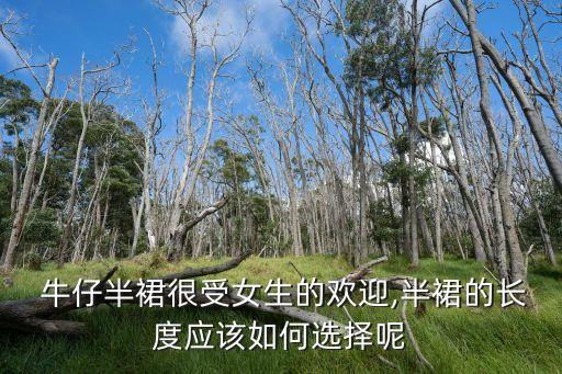  牛仔半裙很受女生的欢迎,半裙的长度应该如何选择呢