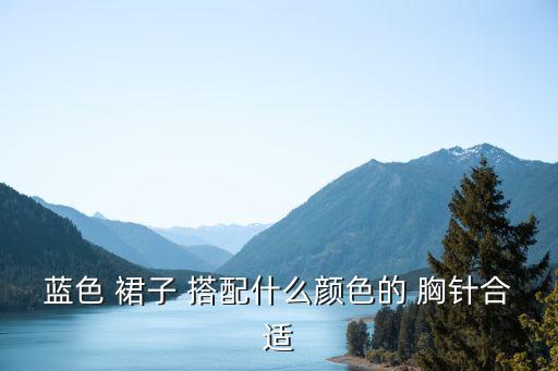 胸针怎么搭配裙子,黑色裙子胸针胸花的搭配