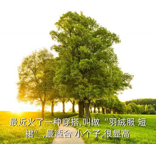 最近火了一种穿搭,叫做“羽绒服 短裙”,最适合 小个子,很显高