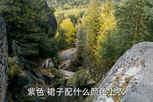 酱紫裙子搭配,酱紫搭配什么颜色