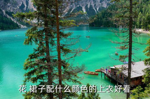 花 裙子配什么颜色的上衣好看