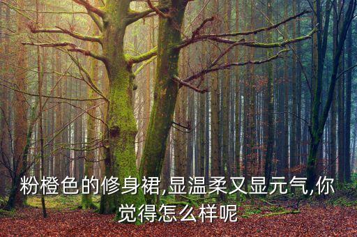 粉橙色的修身裙,显温柔又显元气,你觉得怎么样呢