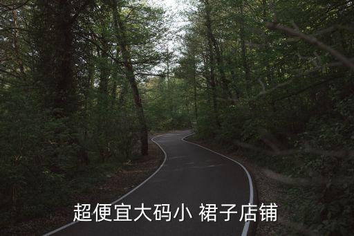 超便宜大码小 裙子店铺