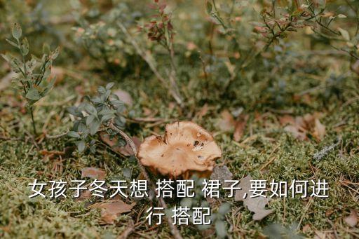 宽松打底裙子冬季搭配,灰色裙子搭配什么颜色的打底袜