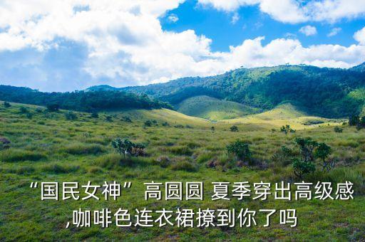 “国民女神”高圆圆 夏季穿出高级感,咖啡色连衣裙撩到你了吗