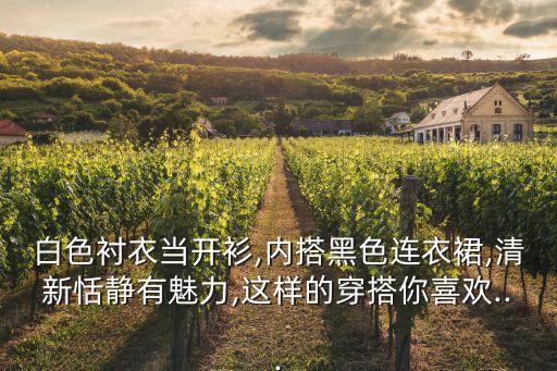 白色衬衣当开衫,内搭黑色连衣裙,清新恬静有魅力,这样的穿搭你喜欢...