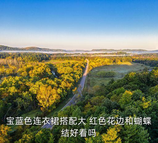 宝蓝色连衣裙搭配大 红色花边和蝴蝶结好看吗