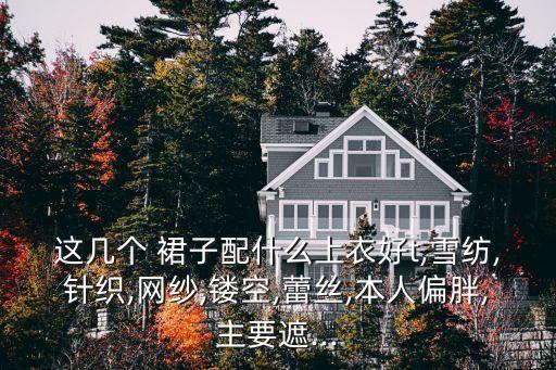 这几个 裙子配什么上衣好t,雪纺,针织,网纱,镂空,蕾丝,本人偏胖,主要遮...