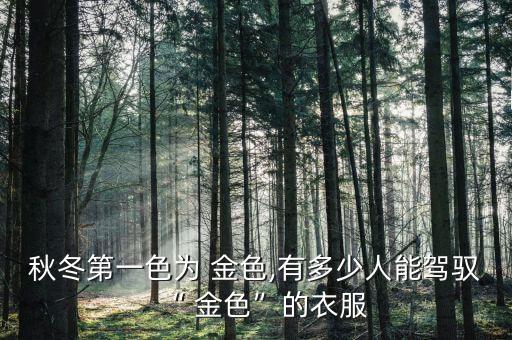 黑人穿金色裙子好看吗