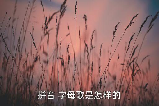 拼音 字母歌是怎样的