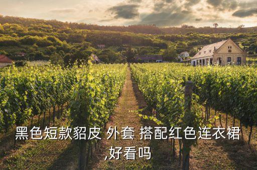 黑短外套搭配裙子,潮流服饰搭配技巧（11）