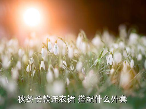 秋冬长款连衣裙 搭配什么外套