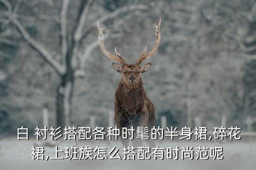 白 衬衫搭配各种时髦的半身裙,碎花裙,上班族怎么搭配有时尚范呢