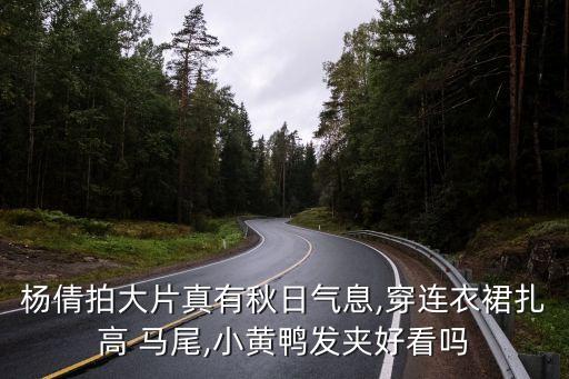 杨倩拍大片真有秋日气息,穿连衣裙扎高 马尾,小黄鸭发夹好看吗