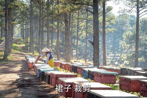 裙子 裁剪