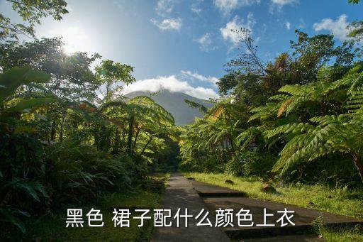 黑色 裙子配什么颜色上衣