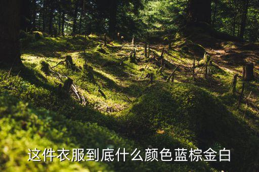 这件衣服到底什么颜色蓝棕金白