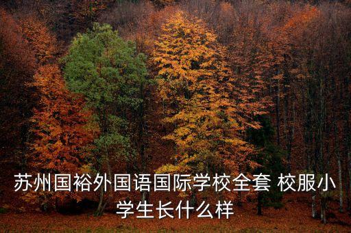 苏州国裕外国语国际学校全套 校服小学生长什么样