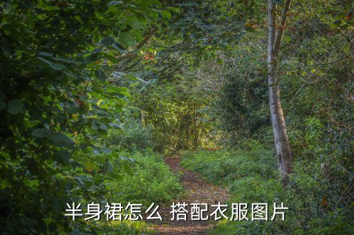 半身裙怎么 搭配衣服图片