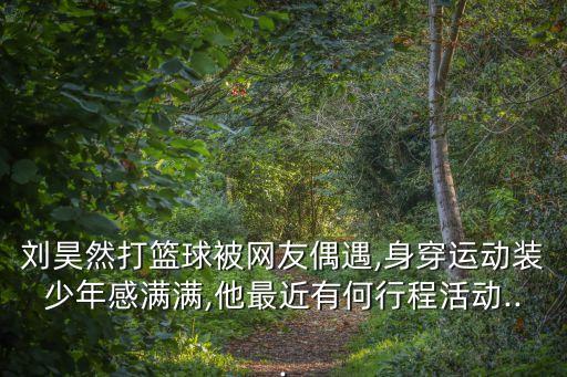 刘昊然打篮球被网友偶遇,身穿运动装少年感满满,他最近有何行程活动...