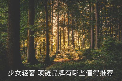apm项链搭配裙子