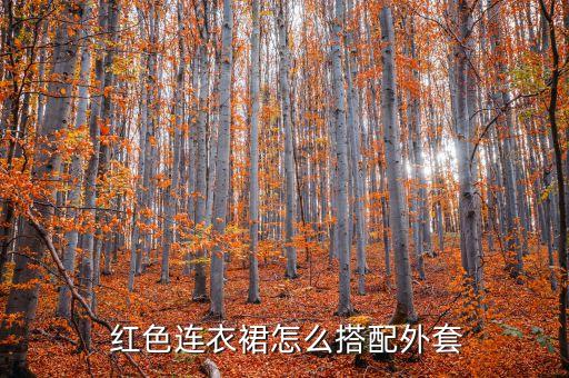 红色裙子配什么裙子好看,红色的裙子配什么样的上衣