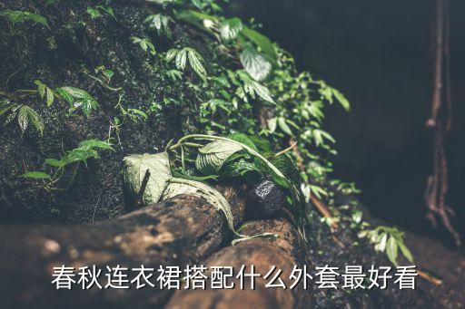  春秋连衣裙搭配什么外套最好看