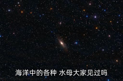 海洋中的各种 水母大家见过吗
