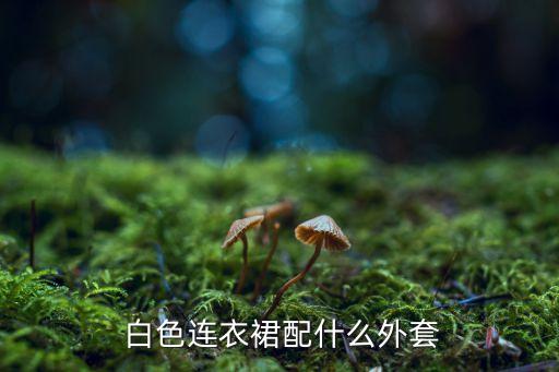  白色连衣裙配什么外套