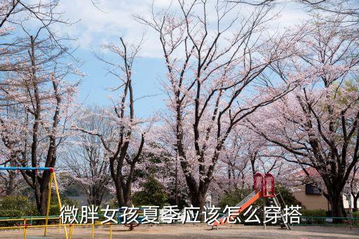 微胖女孩夏季应该怎么穿搭
