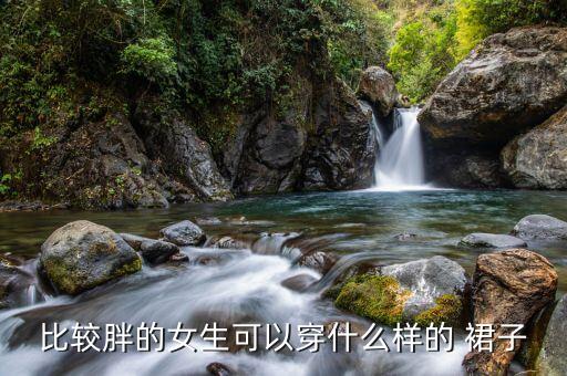 比较胖的女生可以穿什么样的 裙子