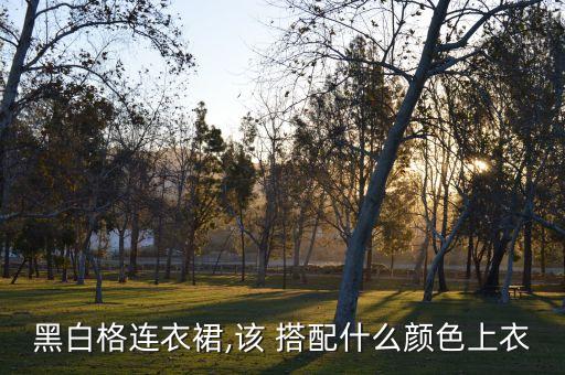 阿玛尼裙子搭配图片,咖色裙子最佳搭配图片大全