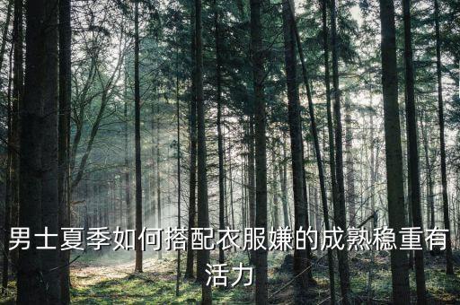 男士夏季如何搭配衣服嫌的成熟稳重有活力