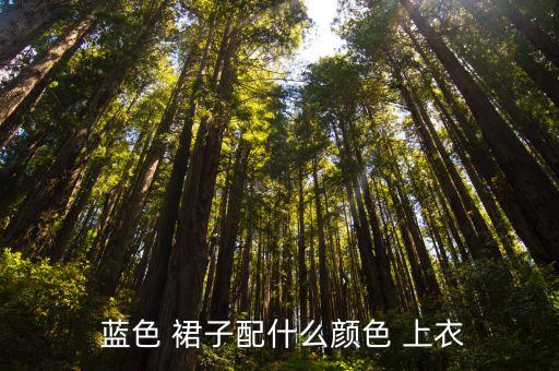  蓝色 裙子配什么颜色 上衣