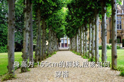 身高为 165cm的胖妹,应该如何穿搭