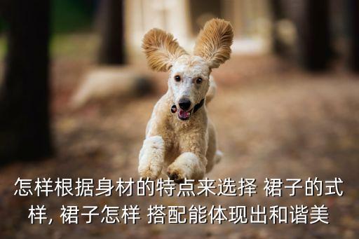 怎样根据身材的特点来选择 裙子的式样, 裙子怎样 搭配能体现出和谐美