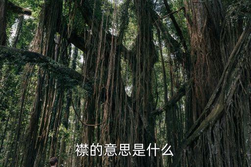 襟的意思是什么