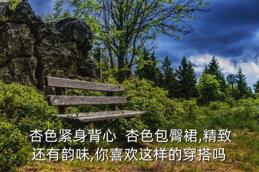 杏色裙子配什么包包