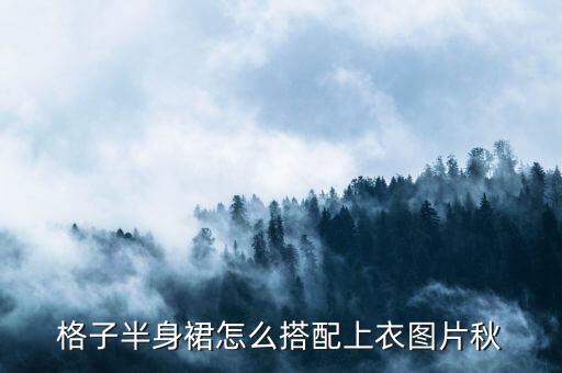格子半身裙怎么搭配上衣图片秋